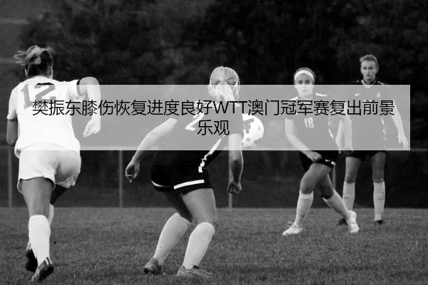 fan-zhen-dong-xi-shang-hui-fu-jin-du-liang-hao-ao-men-guan-jun-sai-fu-chu-qian-jing-le-guan-3-222.jpg