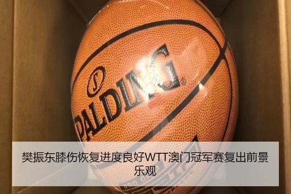 樊振东膝伤恢复进度良好WTT澳门冠军赛复出前景乐观
