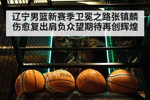 辽宁男篮新赛季卫冕之路张镇麟伤愈复出肩负众望期待再创辉煌
